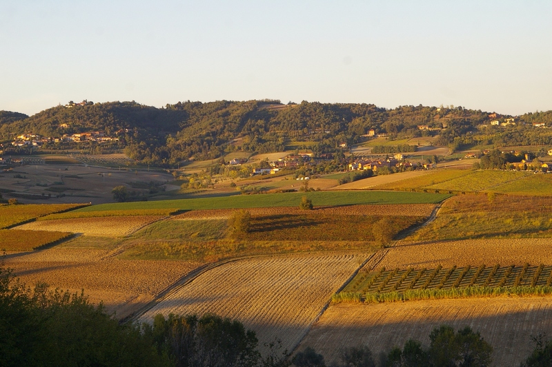 Straordinario paesaggio agrario di Tonco nella tipica veste autunnale.