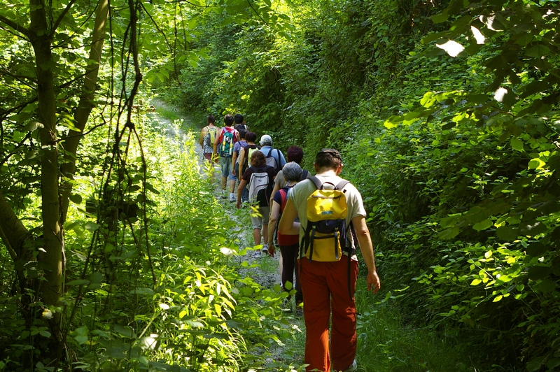 Camminata di ritorno verso la Chiesa romanica di Sant Eusebio di Castelnuovo Don Bosco.