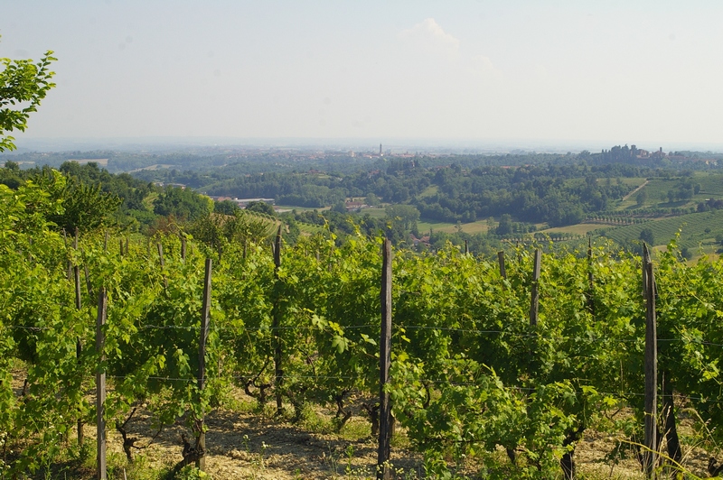 Veduta della bella campagna nel comune di Castelnuovo Don Bosco.