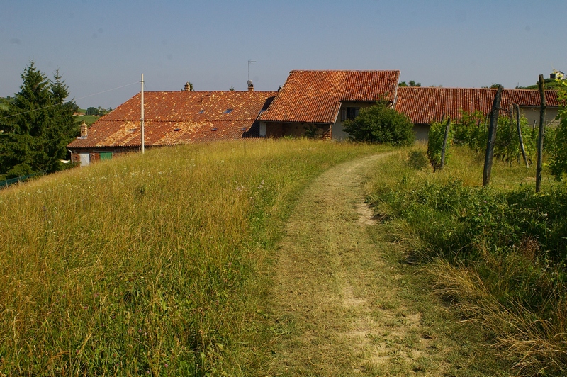 Cascina tradizionale lungo una strada campestre nel comune di Castelnuovo Don Bosco.
