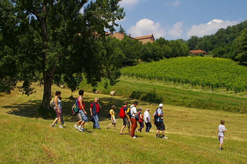 Camminata nei campi circostanti la Canonica di Santa Maria di Vezzolano.