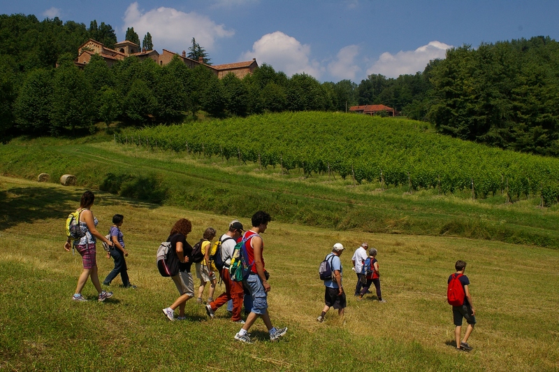 Camminata nei campi circostanti la Canonica di Santa Maria di Vezzolano.