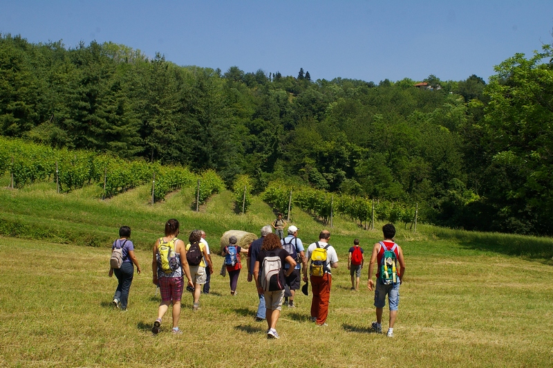 Camminata nei campi circostanti la Canonica di Santa Maria di Vezzolano.