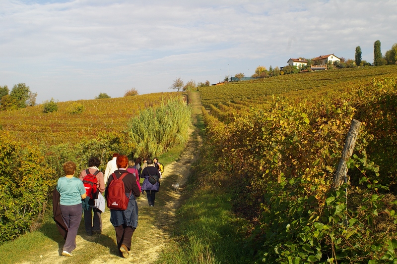 Gruppo in cammino verso la Canonica di Santa Maria di Vezzolano attraverso le vigne dell Alto Astigiano nella veste autunnale.