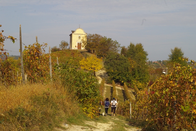 Veduta della Chiesa di San Michele Arcangelo alla sommità della collina tra boschetti e vigneti.