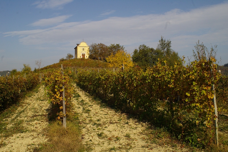 Veduta della Chiesa di San Michele Arcangelo alla sommità della collina tra boschetti e vigneti.