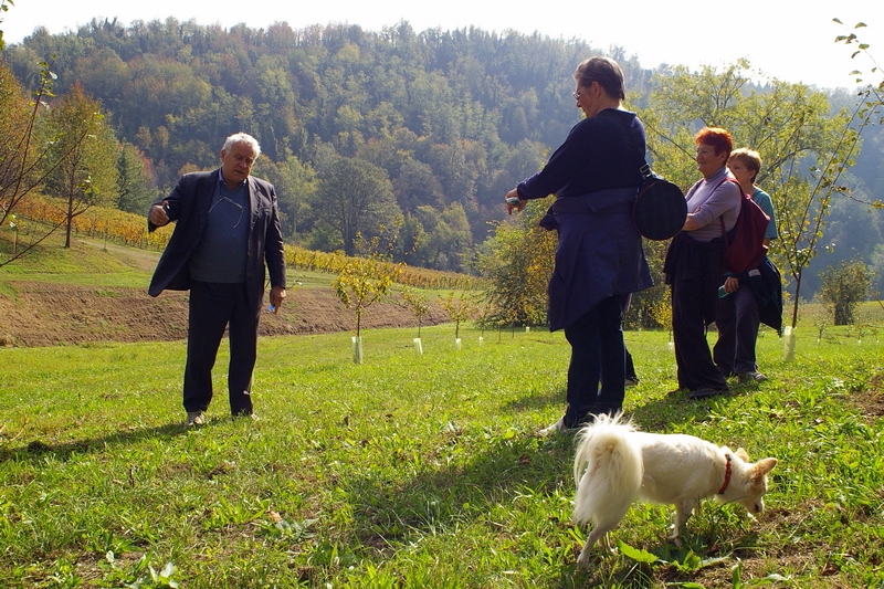 Visita guidata ai nuovi impianti di alberi da frutto da parte del Prof. Dario Rei.