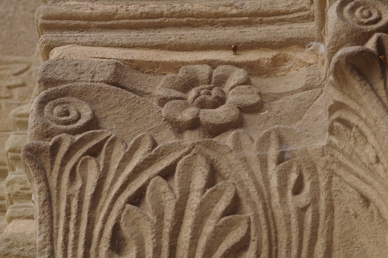 Straordinari decori presenti sulla facciata della Canonica di Santa Maria di Vezzolano.