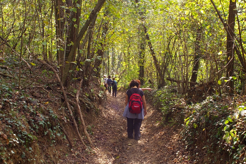 Ritorno da parte del gruppo di camminatori verso la Chiesa di Sant Eusebio di Castelnuovo Don Bosco, attraverso la folta vegetazione boschiva.