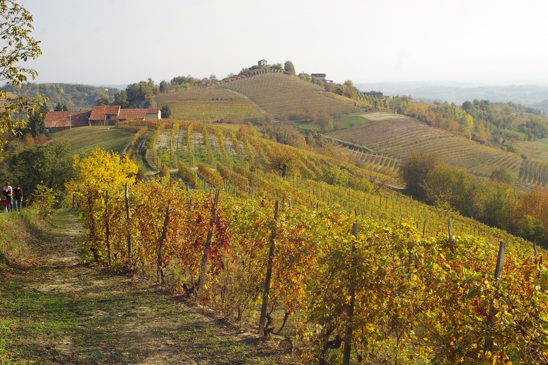Veduta sullo sfondo alla sommità della collina della Chiesa romanica di Santa Maria di Cornareto, immersa in uno straordinario paesaggio agrario.