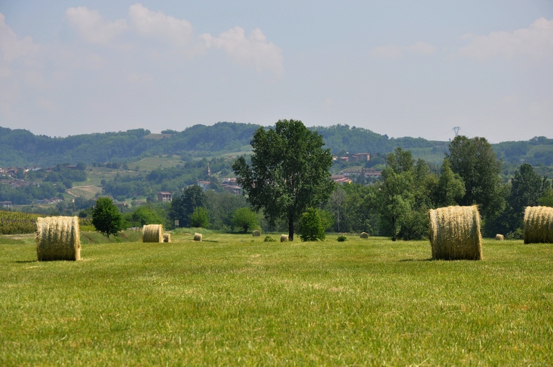 L'amenità dei paesaggi agrari astigiani può rappresentare una straordinaria opportunità turistica, grazie a forme nuove di ospitalità diffusa.