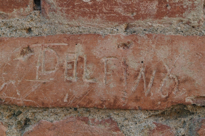 Nomi di persone incisi sui muri della Cittadella di Alessandria. DELFINO. 