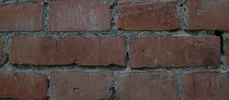 Nomi di persone incisi sui muri della Cittadella di Alessandria. PECORARI D  W 1908.