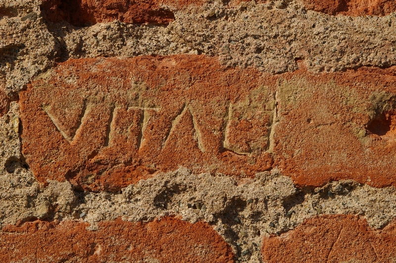 Nomi di persone incisi sui muri della Cittadella di Alessandria. VITALI.