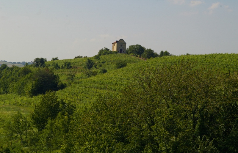 Straordinario agrosistema dell Alto Astigiano, caratterizzato da una equilibrata alternanza di vigneti, coltivi ed aree boscate, oggetto di approfonditi studi da parte dell Associazione Terra, Boschi, Gente e Memorie. Nell immagine il paesaggio agrario in prossimità della Chiesa di San Michele Arcangelo a Castelnuovo Don Bosco.