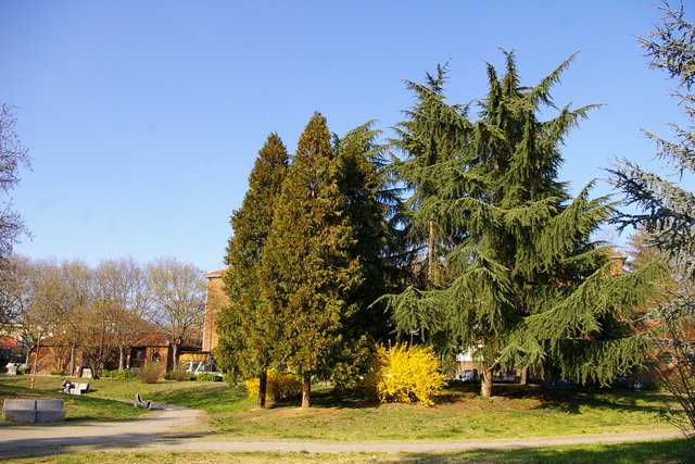 Veduta del Parco Biberach ad Asti, sede del dibattito tra il Sindaco di Asti e il Sindaco di Biberach sul tema "Il verde pubblico tra partecipazione e tutela".