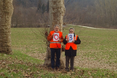 censimento fotografico degli alberi presenti lungo l ex strada statale SS 10 nel comune di Baldichieri.   