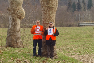 censimento fotografico degli alberi presenti lungo l ex strada statale SS 10 nel comune di Baldichieri.   