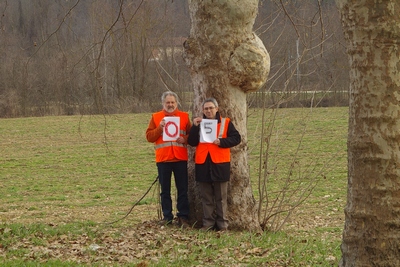 censimento fotografico degli alberi presenti lungo l ex strada statale SS 10 nel comune di Baldichieri.   