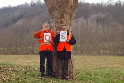 censimento fotografico degli alberi presenti lungo l ex strada statale SS 10 nel comune di Baldichieri.   