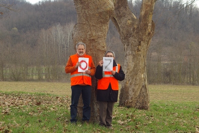 censimento fotografico degli alberi presenti lungo l ex strada statale SS 10 nel comune di Baldichieri.   