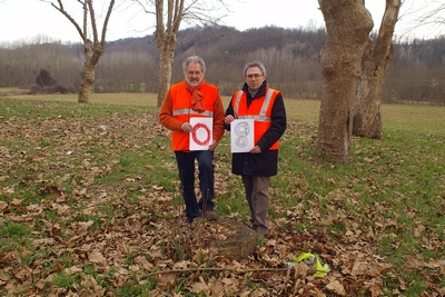 censimento fotografico degli alberi presenti lungo l ex strada statale SS 10 nel comune di Baldichieri.   