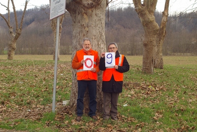 censimento fotografico degli alberi presenti lungo l ex strada statale SS 10 nel comune di Baldichieri.   