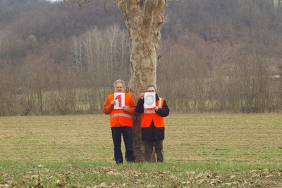 censimento fotografico degli alberi presenti lungo l ex strada statale SS 10 nel comune di Baldichieri.   