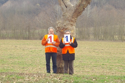 censimento fotografico degli alberi presenti lungo l ex strada statale SS 10 nel comune di Baldichieri.   