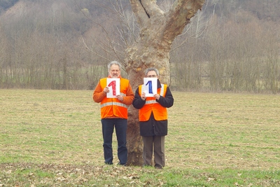 censimento fotografico degli alberi presenti lungo l ex strada statale SS 10 nel comune di Baldichieri.   