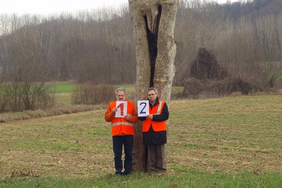 censimento fotografico degli alberi presenti lungo l ex strada statale SS 10 nel comune di Baldichieri.   