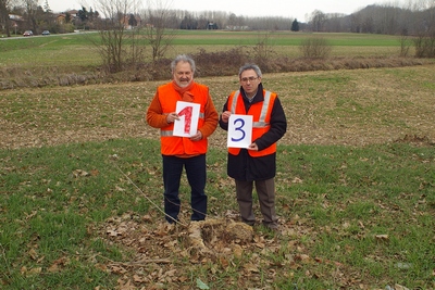 censimento fotografico degli alberi presenti lungo l ex strada statale SS 10 nel comune di Baldichieri.   