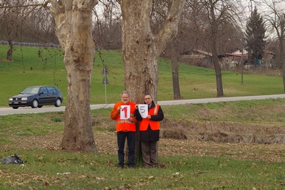 censimento fotografico degli alberi presenti lungo l ex strada statale SS 10 nel comune di Baldichieri.   