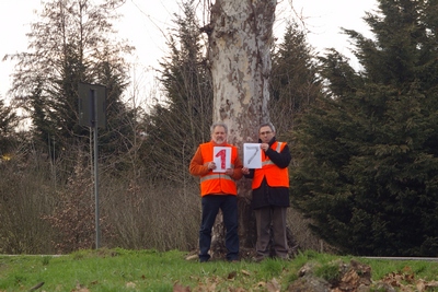 censimento fotografico degli alberi presenti lungo l ex strada statale SS 10 nel comune di Baldichieri.   