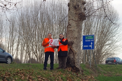 censimento fotografico degli alberi presenti lungo l ex strada statale SS 10 nel comune di Baldichieri.   