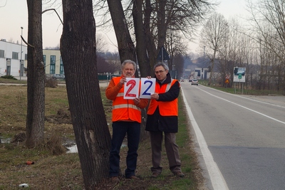 censimento fotografico degli alberi presenti lungo l ex strada statale SS 10 nel comune di Baldichieri.   