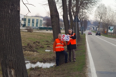 censimento fotografico degli alberi presenti lungo l ex strada statale SS 10 nel comune di Baldichieri.   