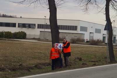 censimento fotografico degli alberi presenti lungo l ex strada statale SS 10 nel comune di Baldichieri.   