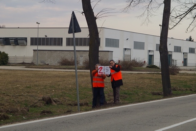 censimento fotografico degli alberi presenti lungo l ex strada statale SS 10 nel comune di Baldichieri.   