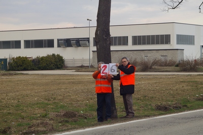 censimento fotografico degli alberi presenti lungo l ex strada statale SS 10 nel comune di Baldichieri.   