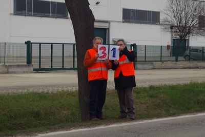 censimento fotografico degli alberi presenti lungo l ex strada statale SS 10 nel comune di Baldichieri.   