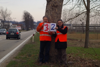 censimento fotografico degli alberi presenti lungo l ex strada statale SS 10 nel comune di Baldichieri.   