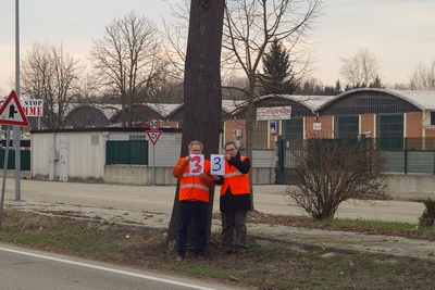 censimento fotografico degli alberi presenti lungo l ex strada statale SS 10 nel comune di Baldichieri.   