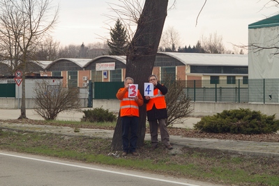 censimento fotografico degli alberi presenti lungo l ex strada statale SS 10 nel comune di Baldichieri.   