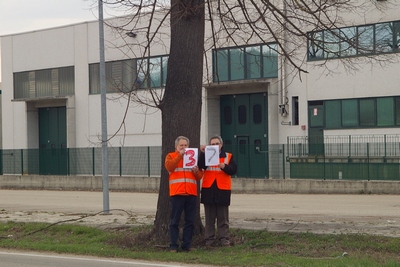 censimento fotografico degli alberi presenti lungo l ex strada statale SS 10 nel comune di Baldichieri.   