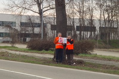 censimento fotografico degli alberi presenti lungo l ex strada statale SS 10 nel comune di Baldichieri.   