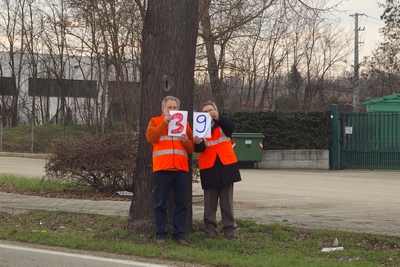 censimento fotografico degli alberi presenti lungo l ex strada statale SS 10 nel comune di Baldichieri.   