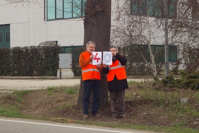 censimento fotografico degli alberi presenti lungo l ex strada statale SS 10 nel comune di Baldichieri.   