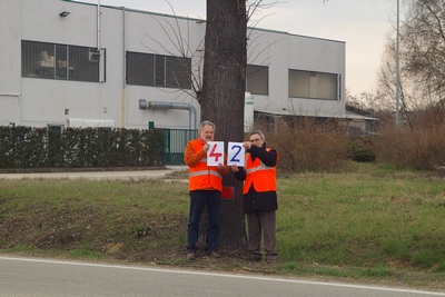 censimento fotografico degli alberi presenti lungo l ex strada statale SS 10 nel comune di Baldichieri.   