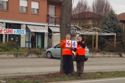 censimento fotografico degli alberi presenti lungo l ex strada statale SS 10 nel comune di Baldichieri.   